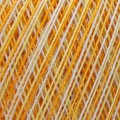 Maxi-6217-MACRO.jpg