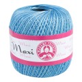 Maxi-0199.jpg