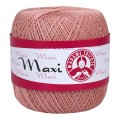 Maxi-4105.jpg