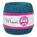 Maxi-4938.jpg