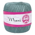 Maxi-4942.jpg