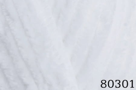 80301.jpg