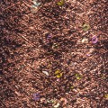 YARNART_PAILLETTES_8005_detay.jpg